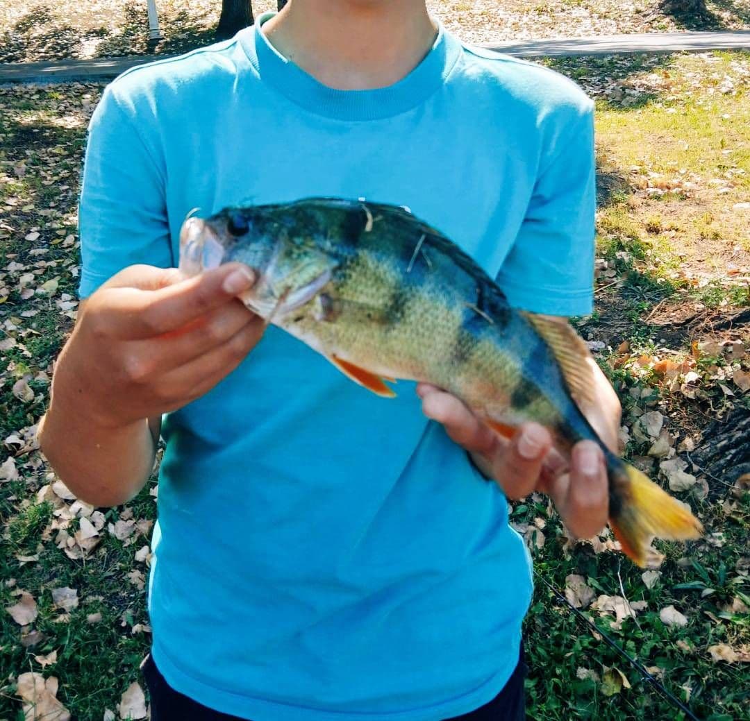 Biban · 1,0 kg · 11:48