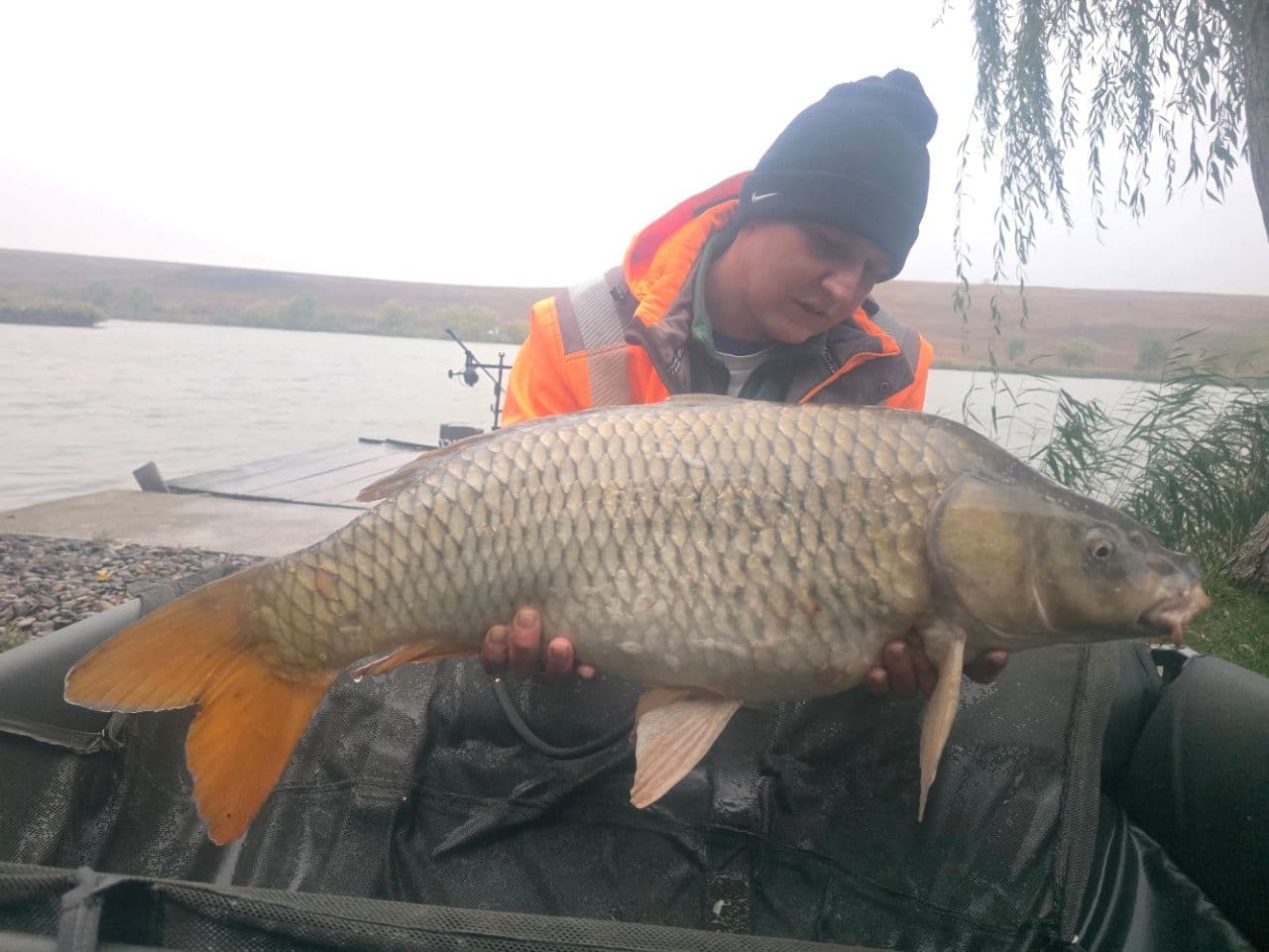 Crap · 11,3 kg · 18:19