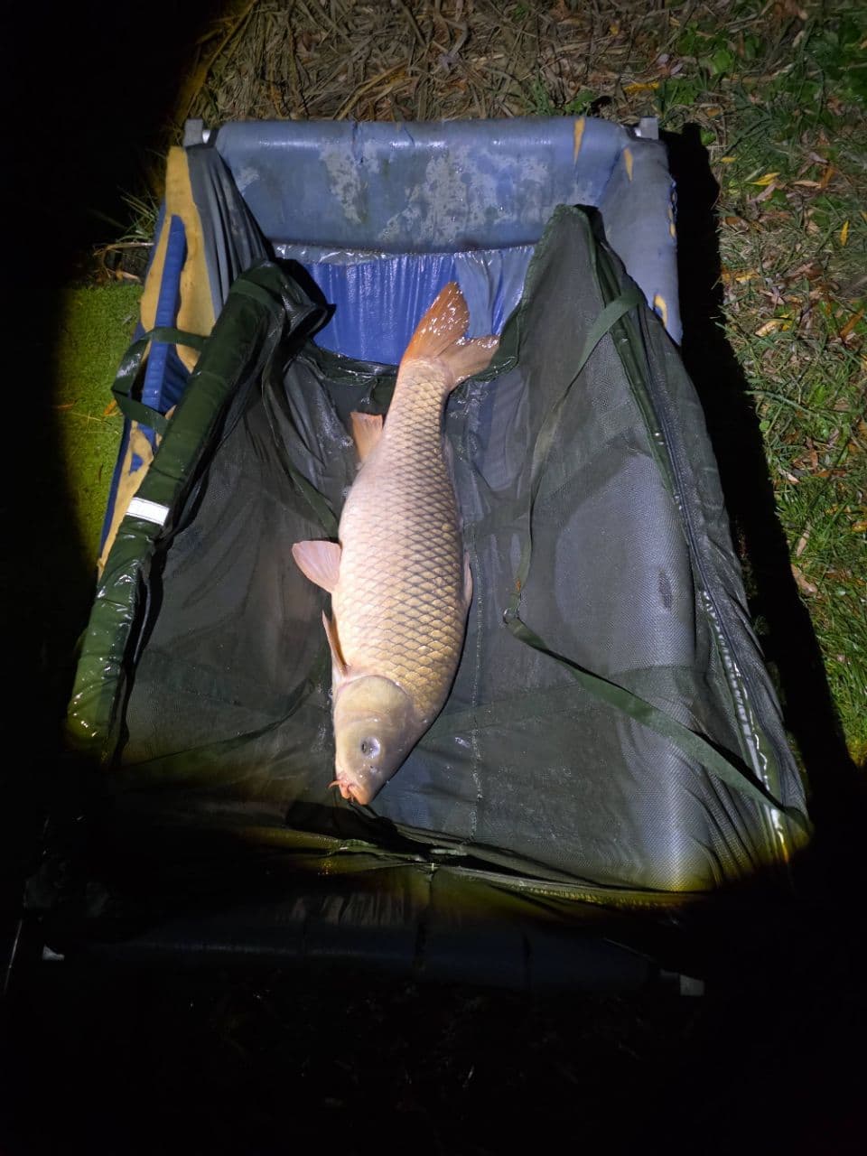 Crap · 13,0 kg · 06:45