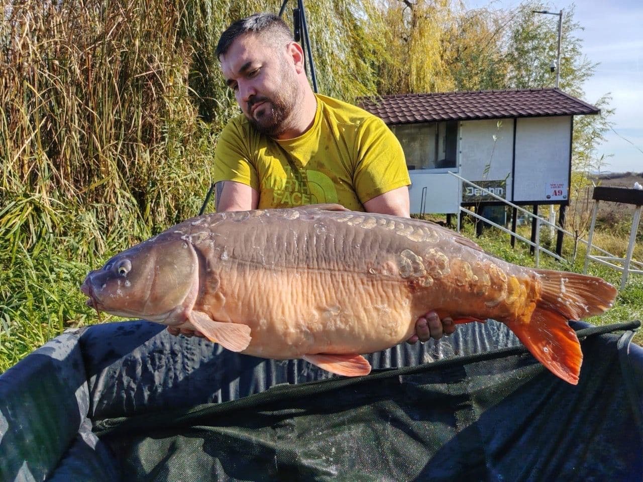 Crap · 15,4 kg · 18:18