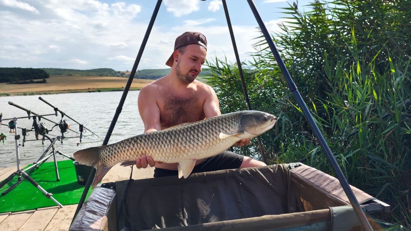 Cteno · 6,2 kg · 16:45