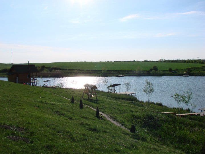 Balta Teslui — fotografia 1