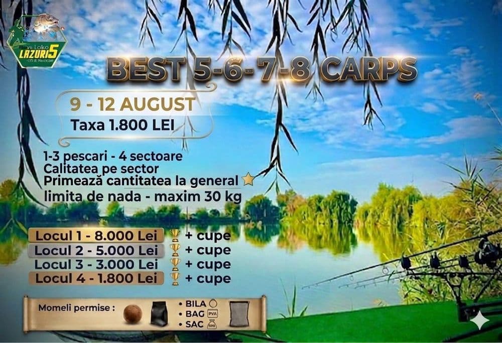 Afișul concursului Best 5-6-7-8 Monsters