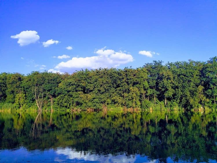 Dyno Lake — fotografia 1
