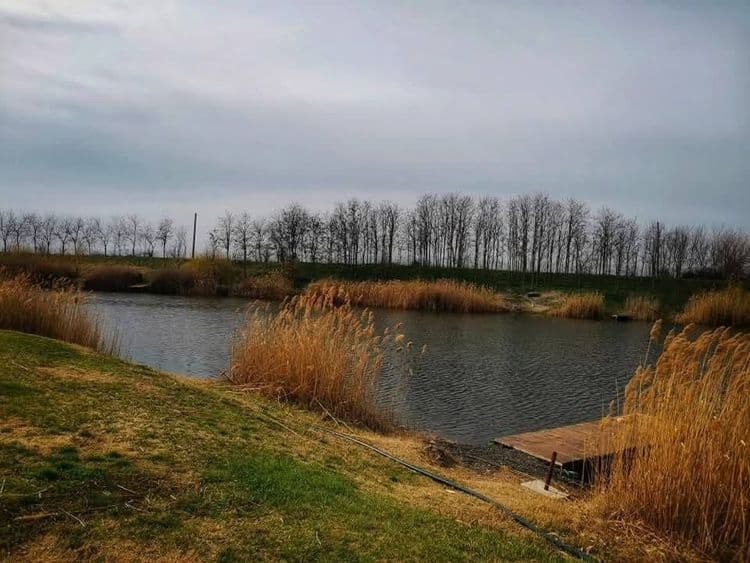 Pescăria Carpiniș — fotografia 1