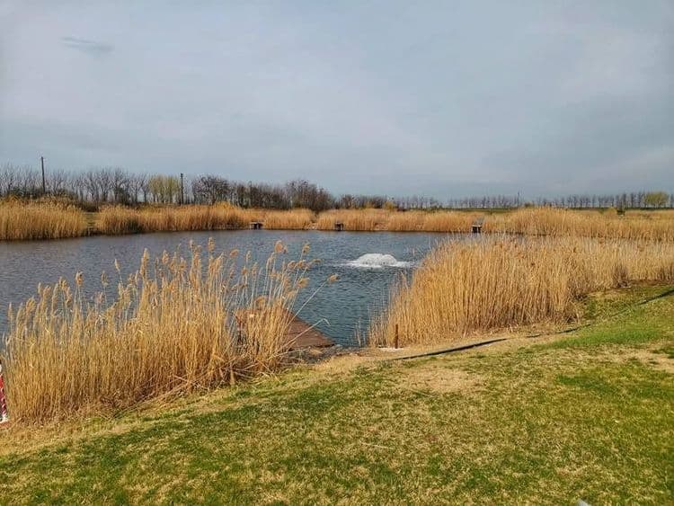 Pescăria Carpiniș — fotografia 3