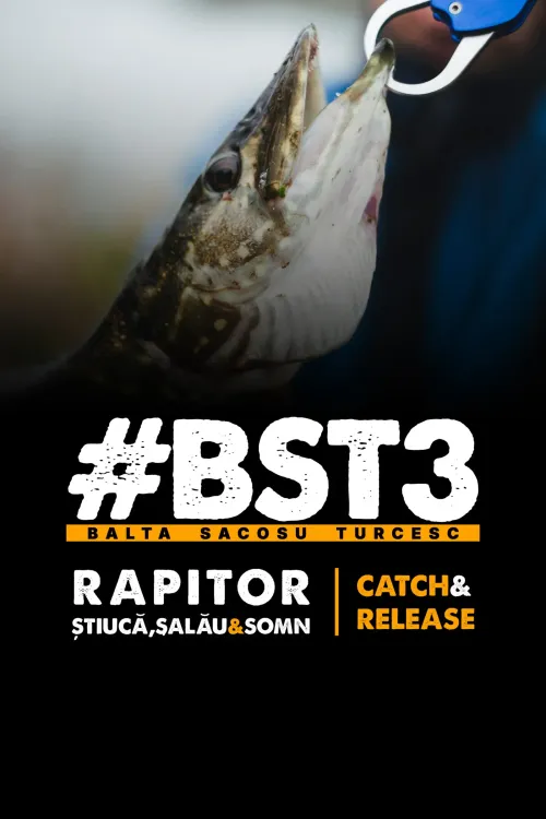 Balta Sacosu Turcesc 3 — fotografia 1