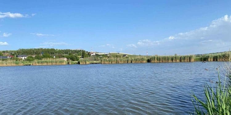 Martinesti Fishing — fotografia 1