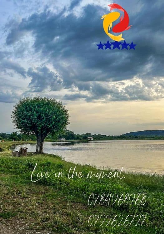Balta Stigma Fishing — fotografia 1
