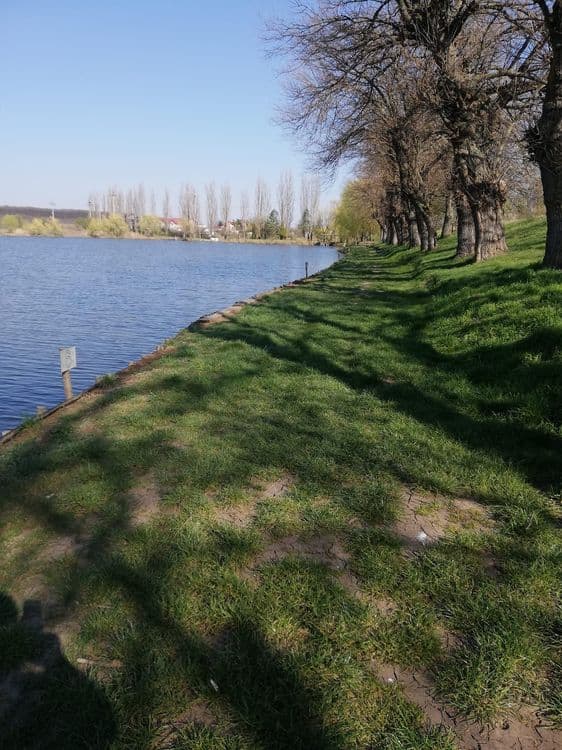 Creata 3 — fotografia 3